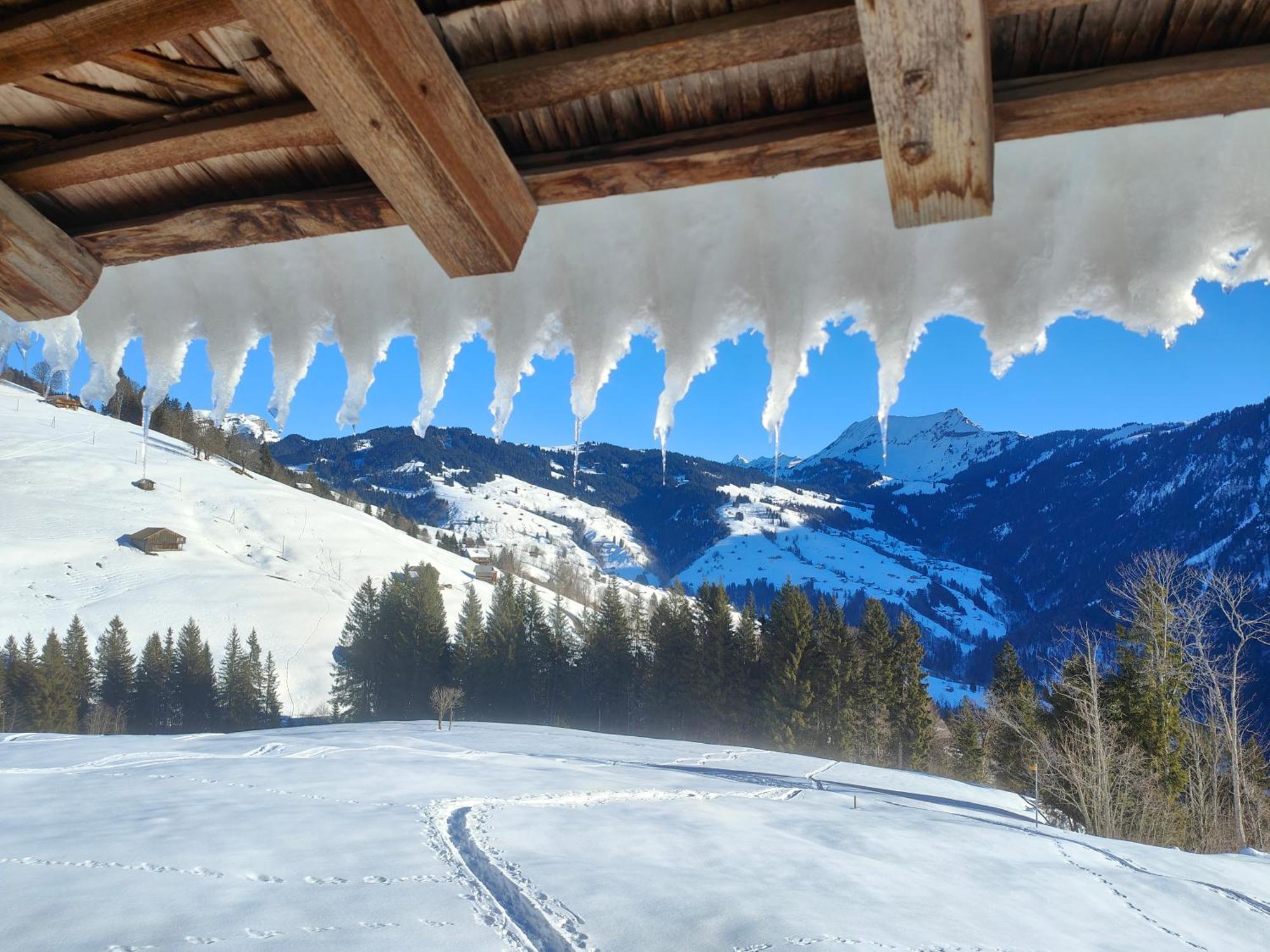 Mountain Village Room Habkern Luaran gambar